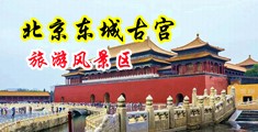 骚货插鸡巴视频中国北京-东城古宫旅游风景区
